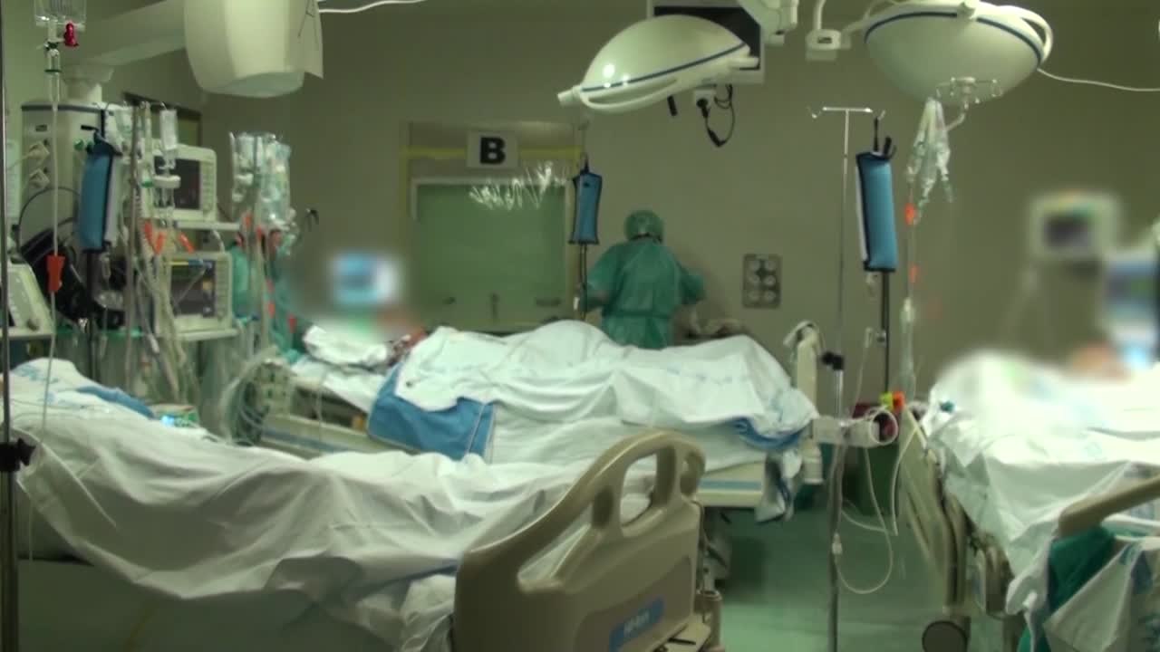 La primera vacuna española contra la covid-19