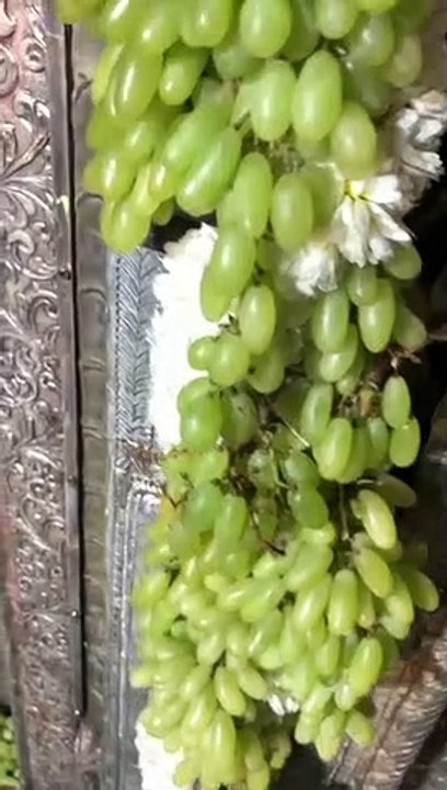 bholenath shiv mahakal mahadev harharmahadev bhajans