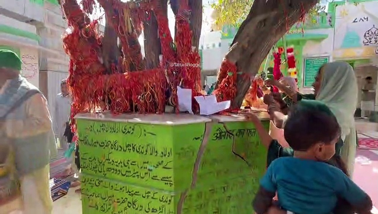 Taragarh dargah ped ka fal khane se hote he bacche karamat kinnar ko bhi hua baccha | तारागढ़ दरगाह