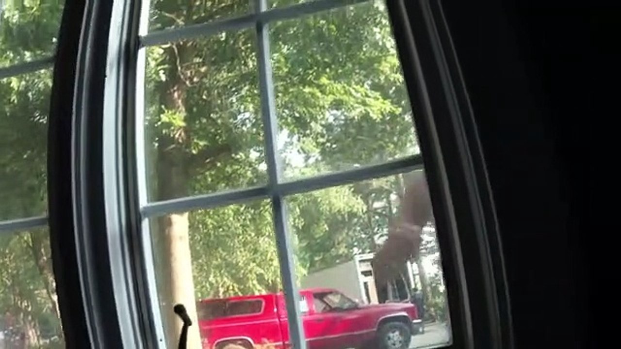 A Haunting - S05E01 - Blood Visions