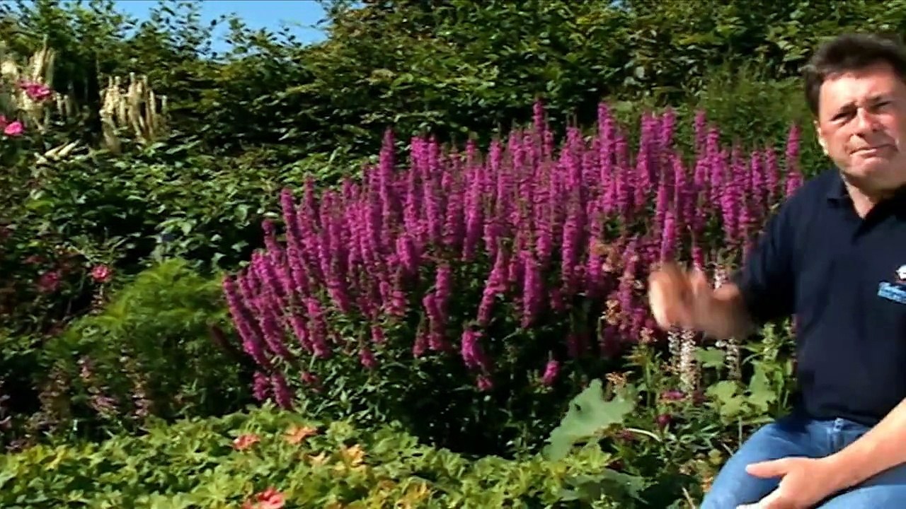 How to Be a Gardener episode 15