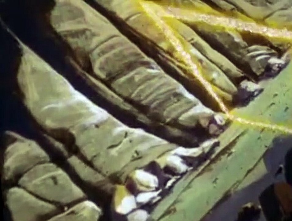 Challenge of the Super Friends Challenge of the Super Friends E04a The Time Trap