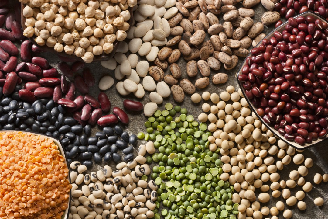 What’s the Environmental Impact of Your Favorite Protein Choices?