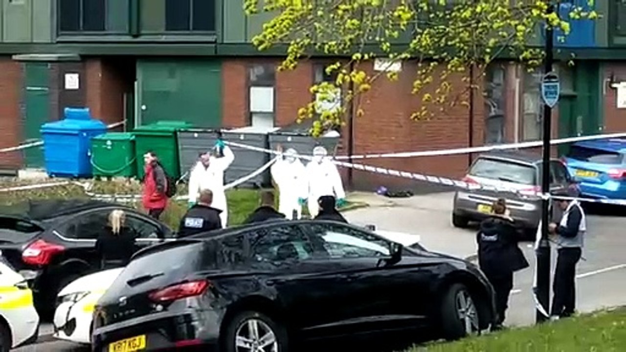 Callow Drive murder probe launched