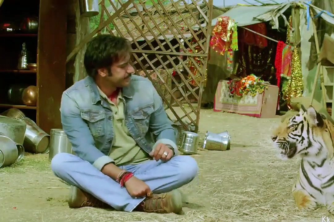 ACTION AND DHAMAL HINDI MOVIES