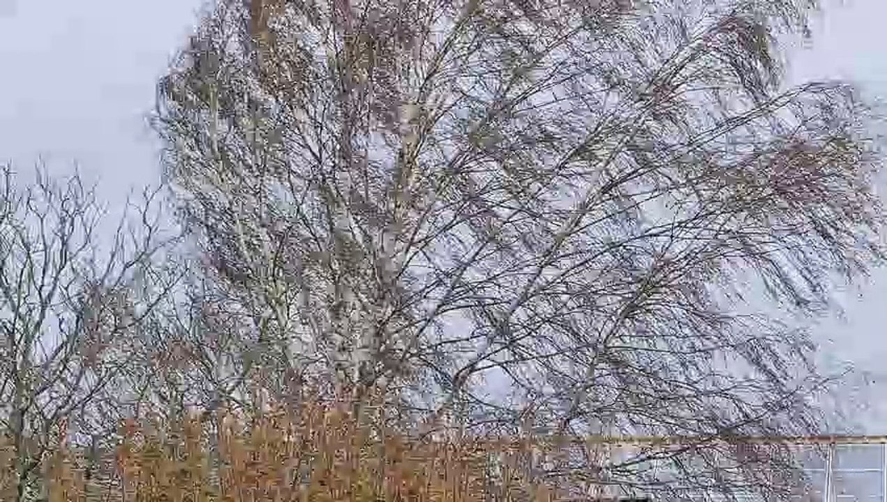 WATCH: High winds hit Sussex as the stormy weather continues