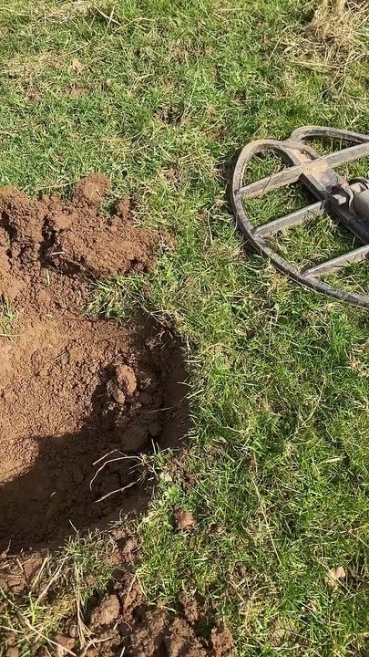 Treasure hunter unearths potential treasure?