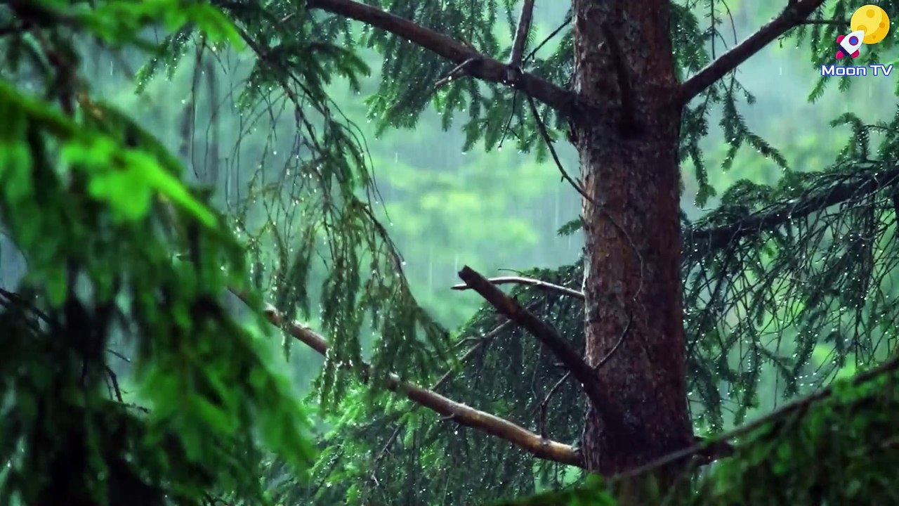 Zen meditation for deep relaxation