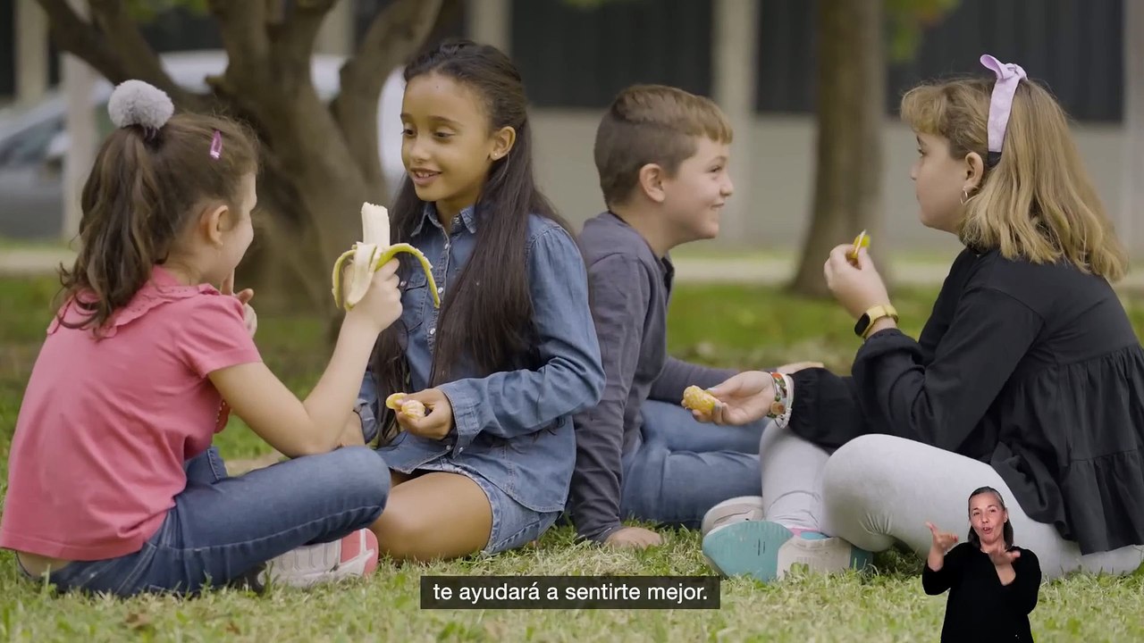 Campaña Estilos de Vida Saludable Castellano