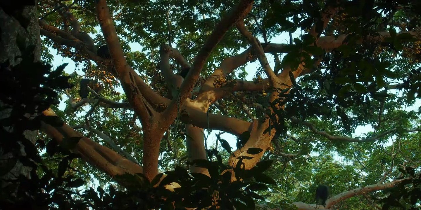 Chimp Empire (2023) - Episode 01 | Hind ORG