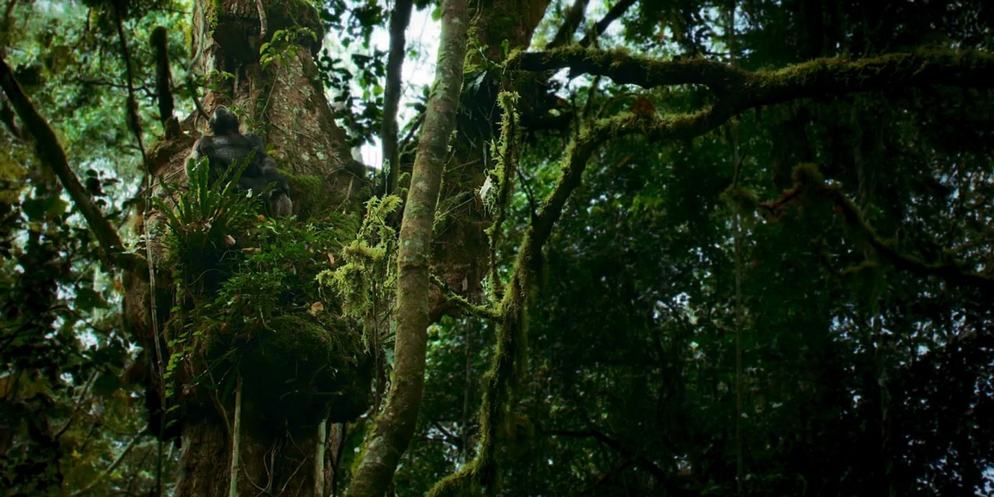 Chimp Empire (2023) - Episode 03 | Hindi ORG