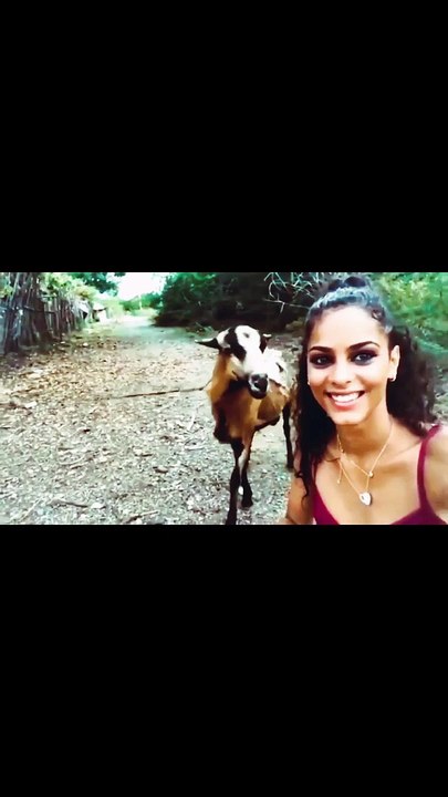 #funny #shorts #comedy #shorts