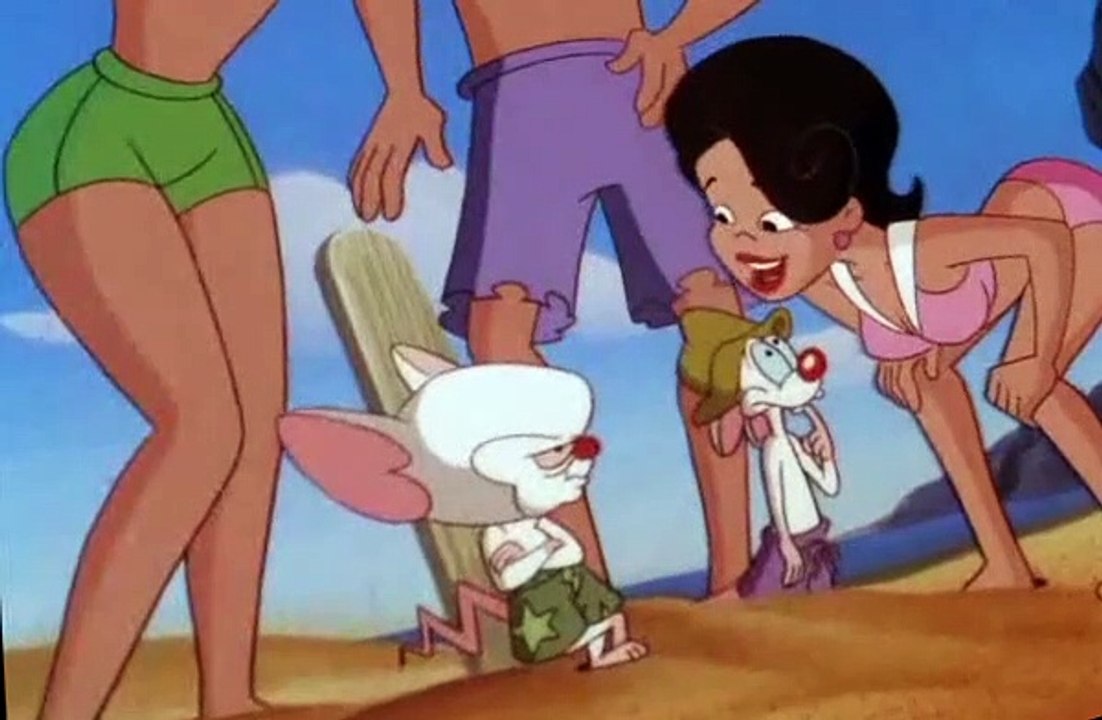 Pinky and the Brain Pinky and the Brain S03 E041 Beach Blanket Brain