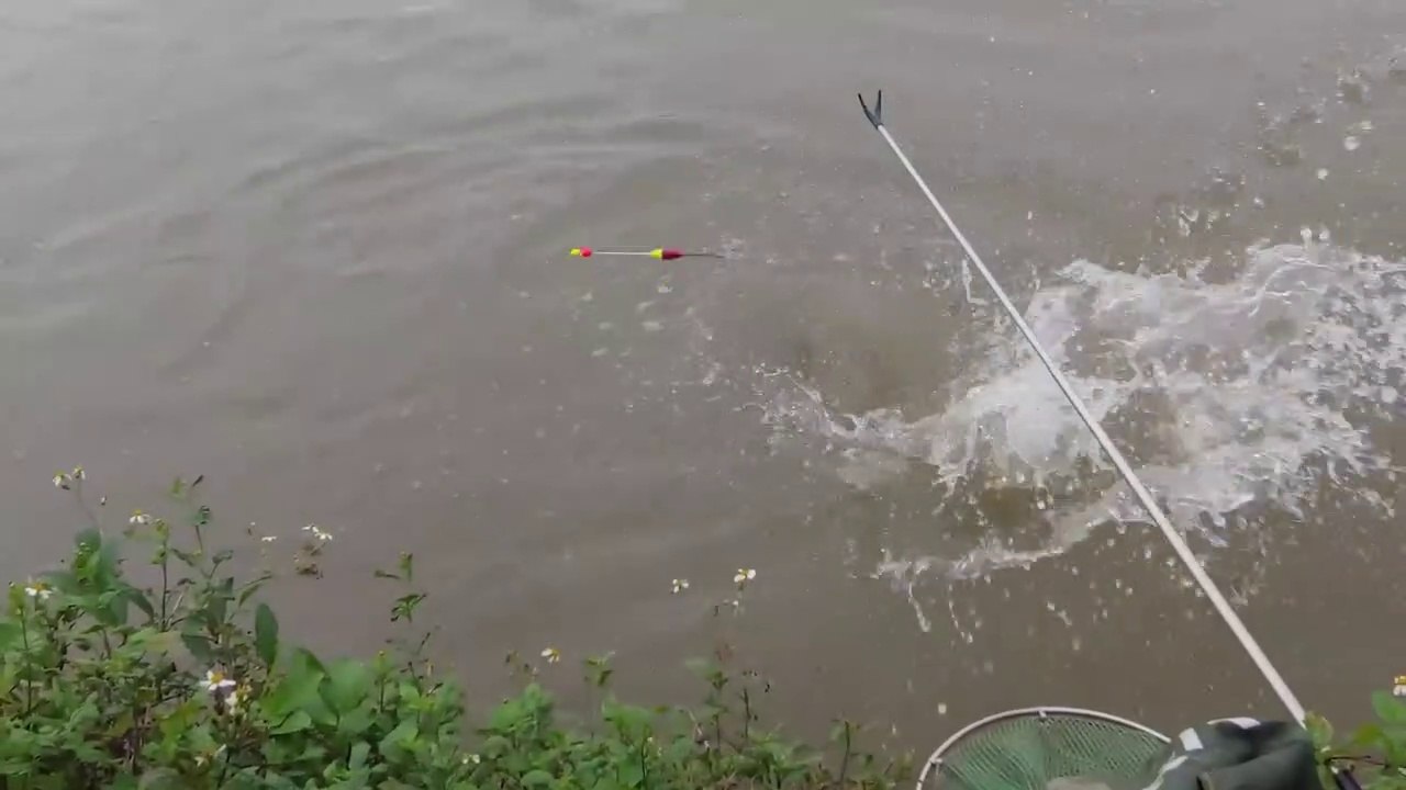 fishing can get a lot