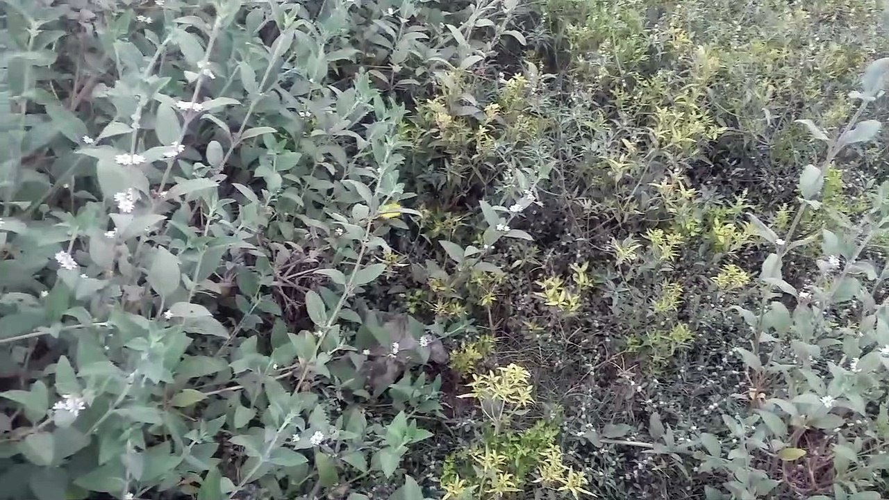 Explore Stunning Destinations in Episode 20 🌍