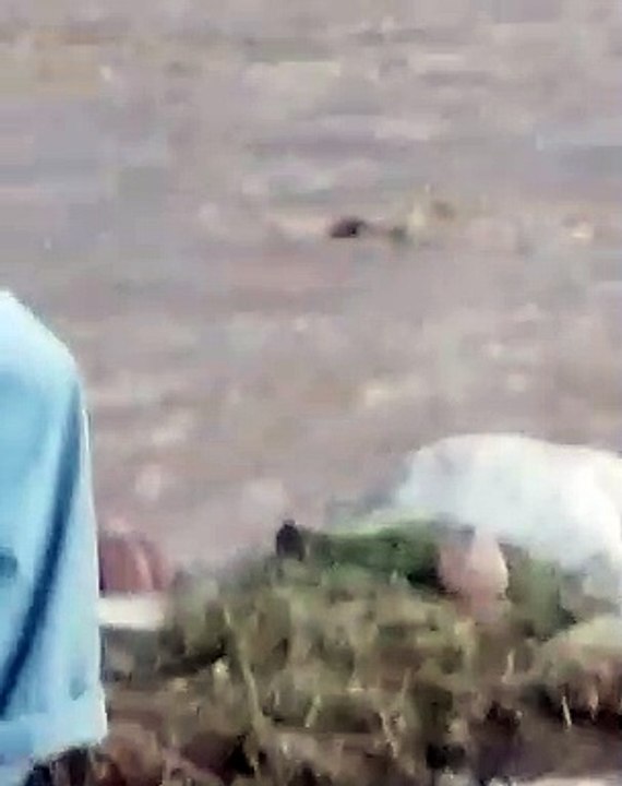 شلالات "طور آل الحسن" تعاود تدفقها