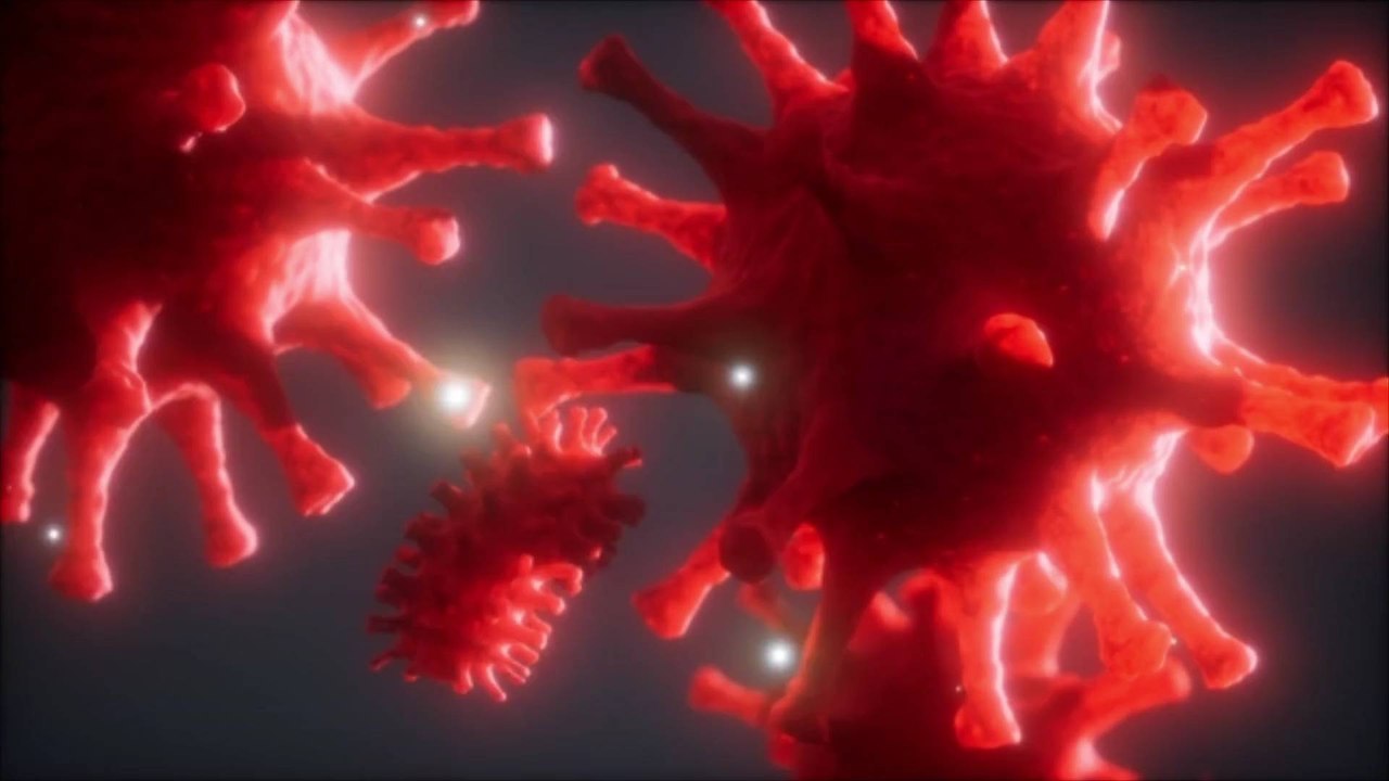 WHO Warns of 'Biological Hazard' After Sudan Fighters Take Control of Laboratory