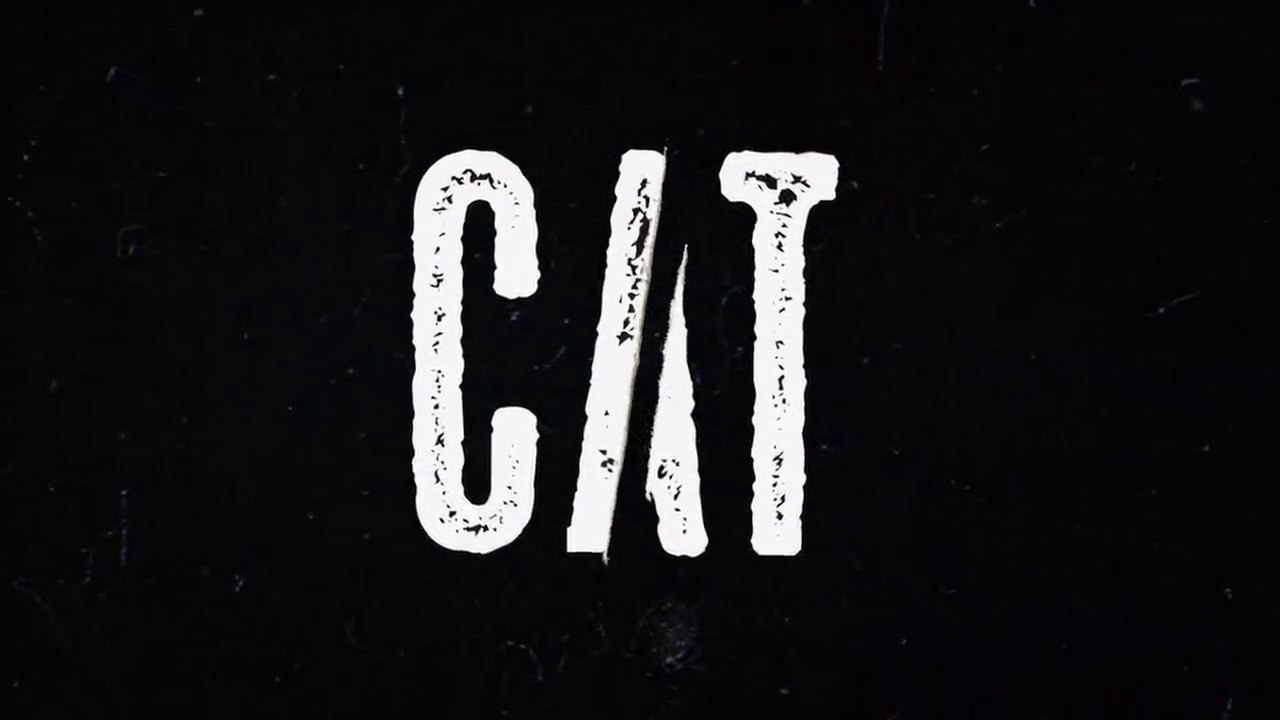 Cat E01 Web Series