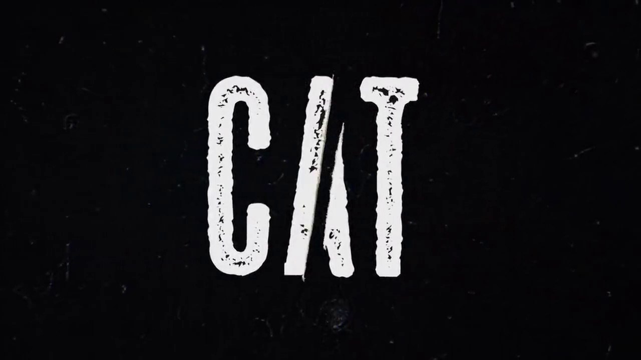 Cat E08 Web Series