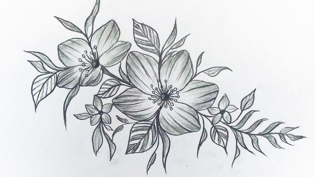 How to draw flowers easy step by step for beginners