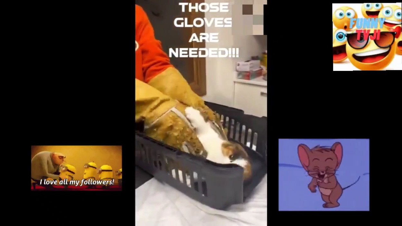 SUPER ANGRY 21video_2023_04_17