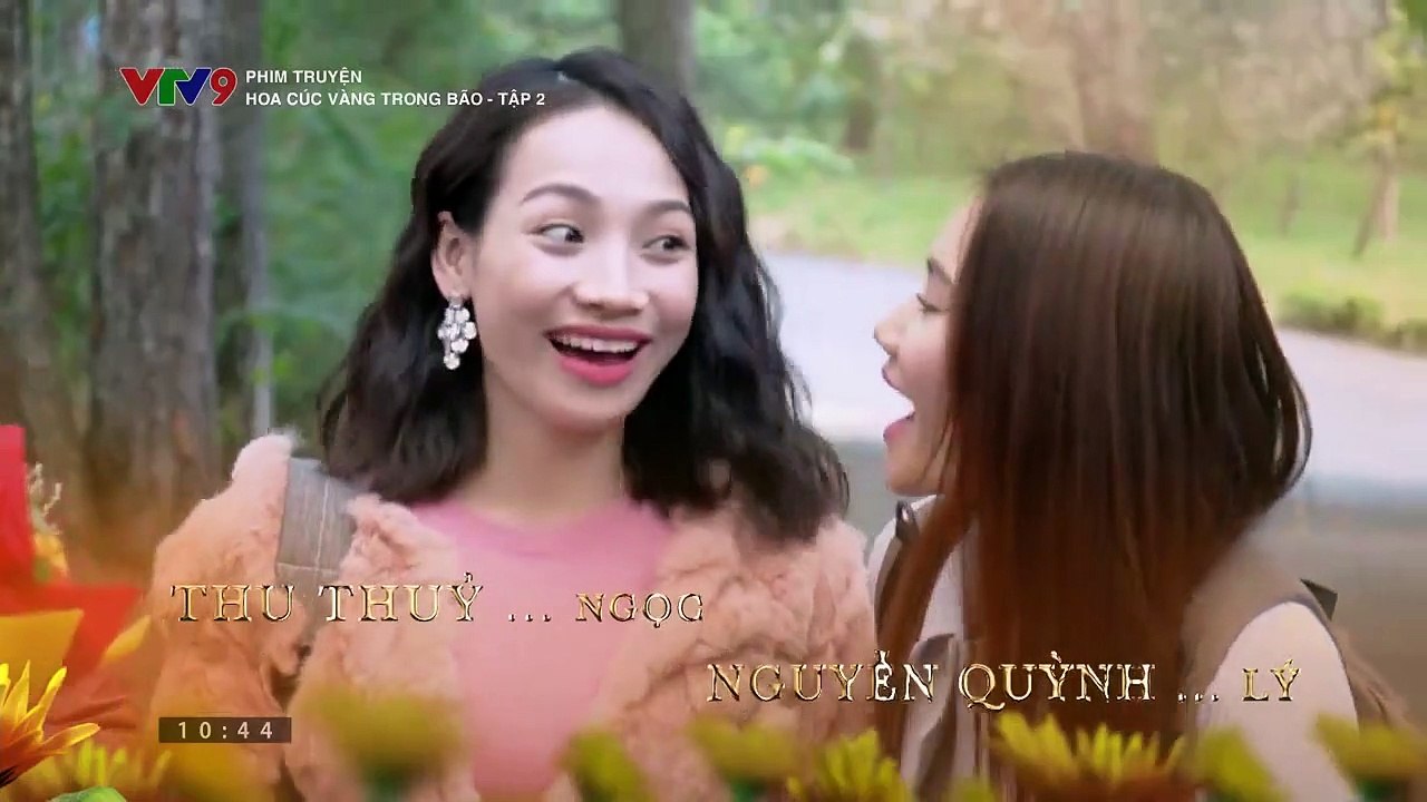 Hoa Cúc Vàng Trong Bảo Tập 2