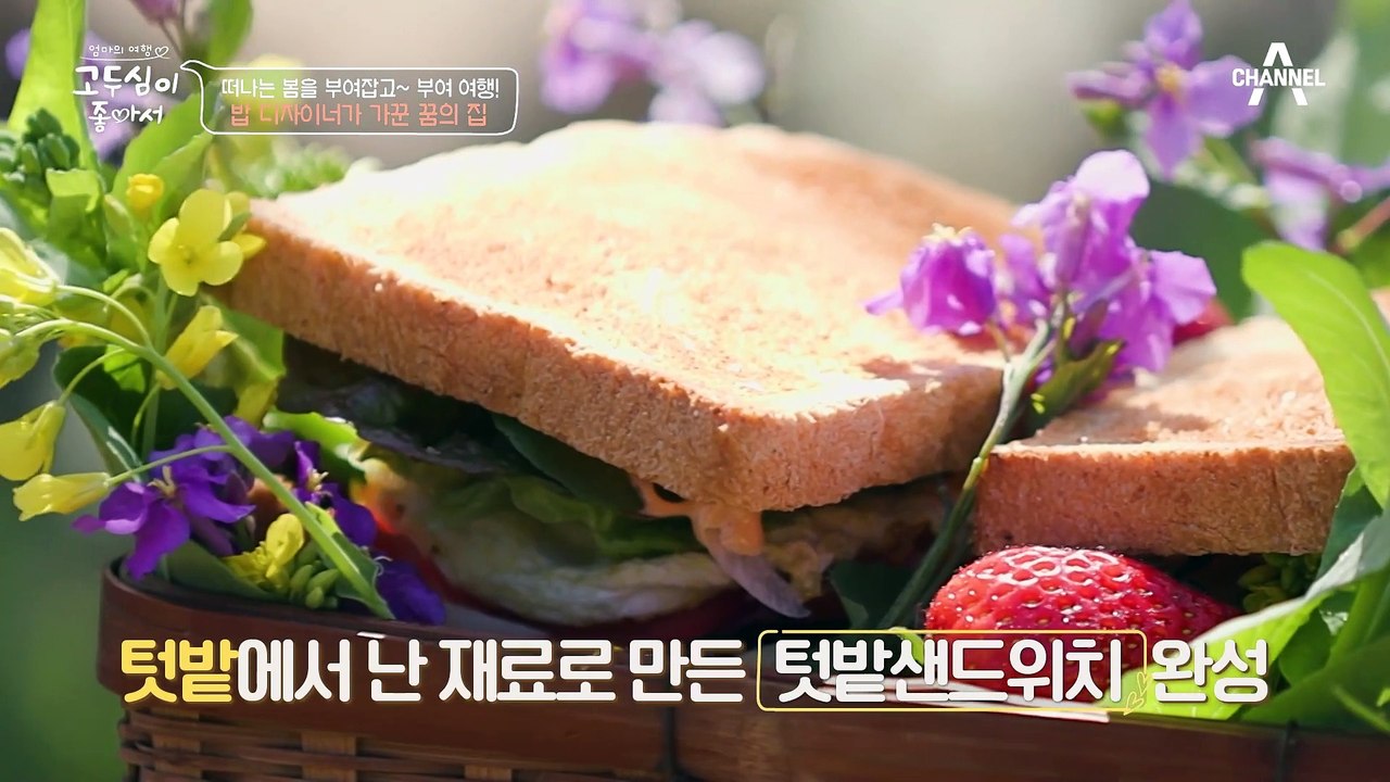 [#고두심이좋아서] 들어가자마자 바로 반해버린 두심♥ 자연과 함께하는 힐링 그 자체, '꿈의 집' #고두심 #이원종