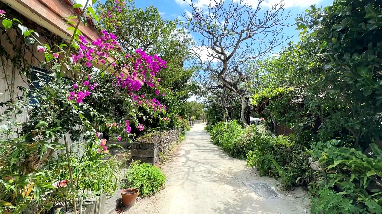 2023.3.8〜3.16(6) 石垣島・竹富島の旅 (竹富島の古い街並み)