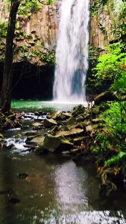 Top 10 Social Media Apps Used Worldwide  #shorts #top10 #socialmedia #viral #youtubeshorts #reels