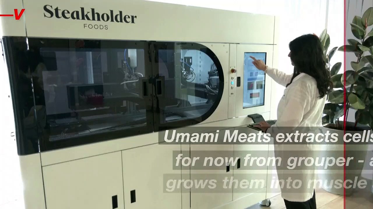 3D Printers Will Serve Us Fish For Dinner