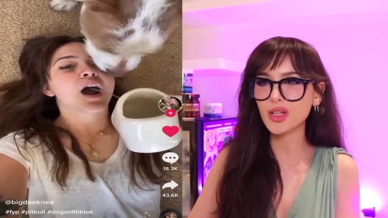 TikToks I Watch Instead Of Doing Homework