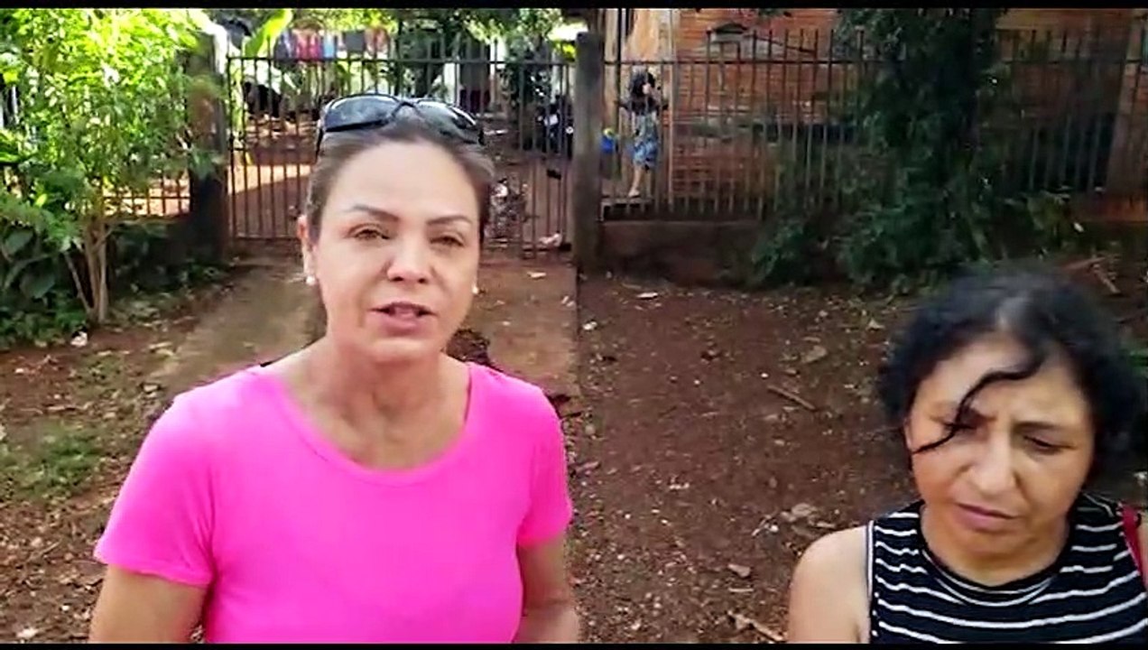 Com 19 gatos e 28 cachorros, acolhedora pede ajuda para comprar ração e remédios