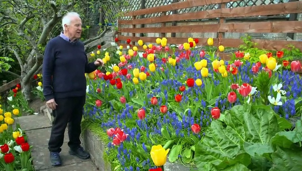 Beechgrove Garden 2023 episode 6