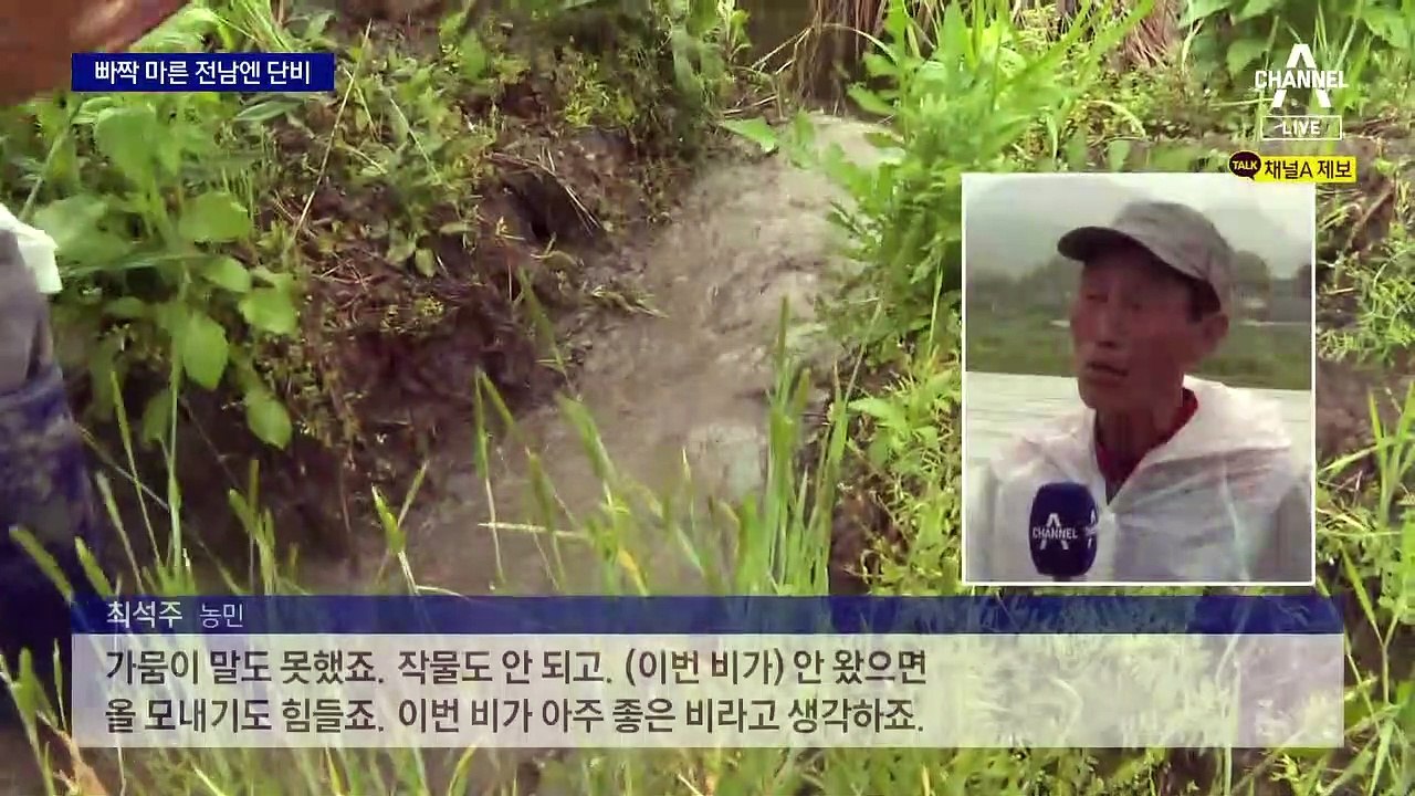 빠짝 마른 전남엔…“보약보다 좋은 단비”