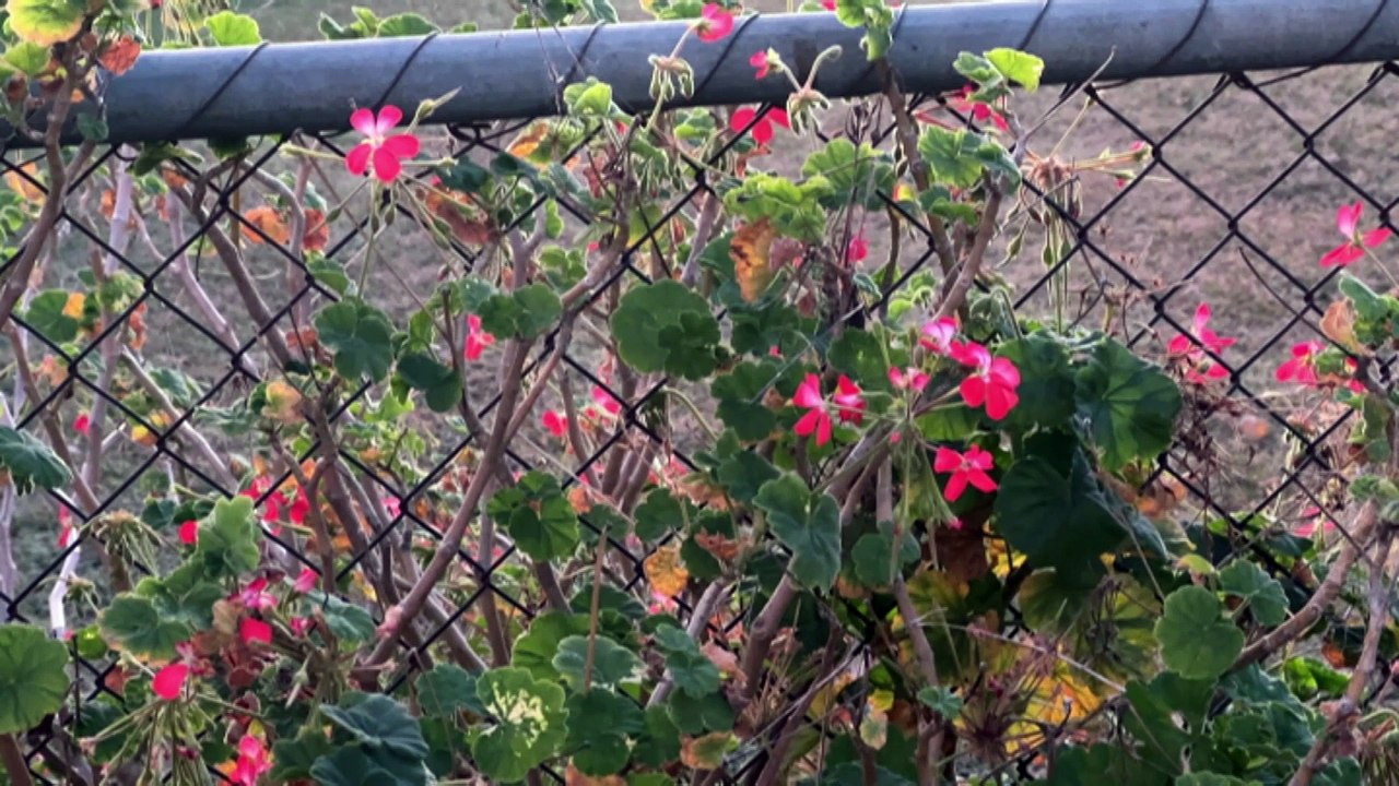 Parts of Queensland record coldest day of the year