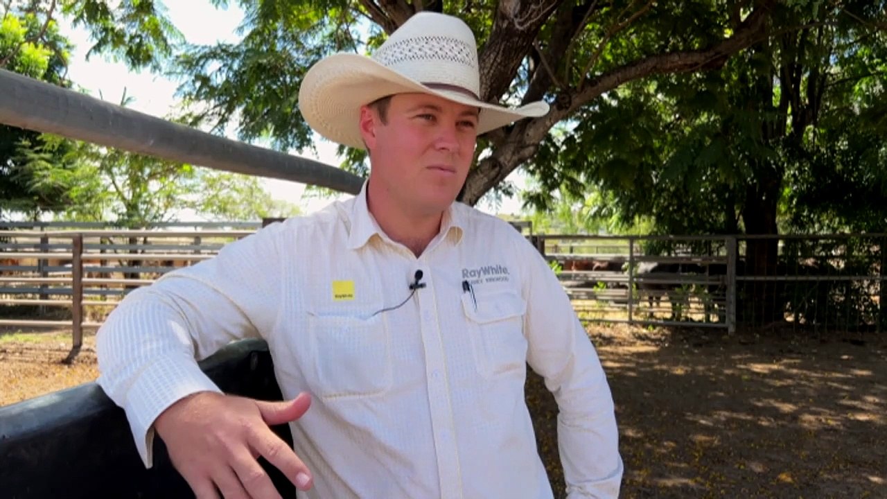 Impact on graziers as industry shift to online auctions