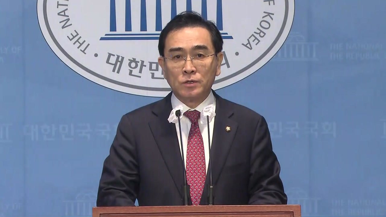 태영호 사퇴 기자회견 / YTN