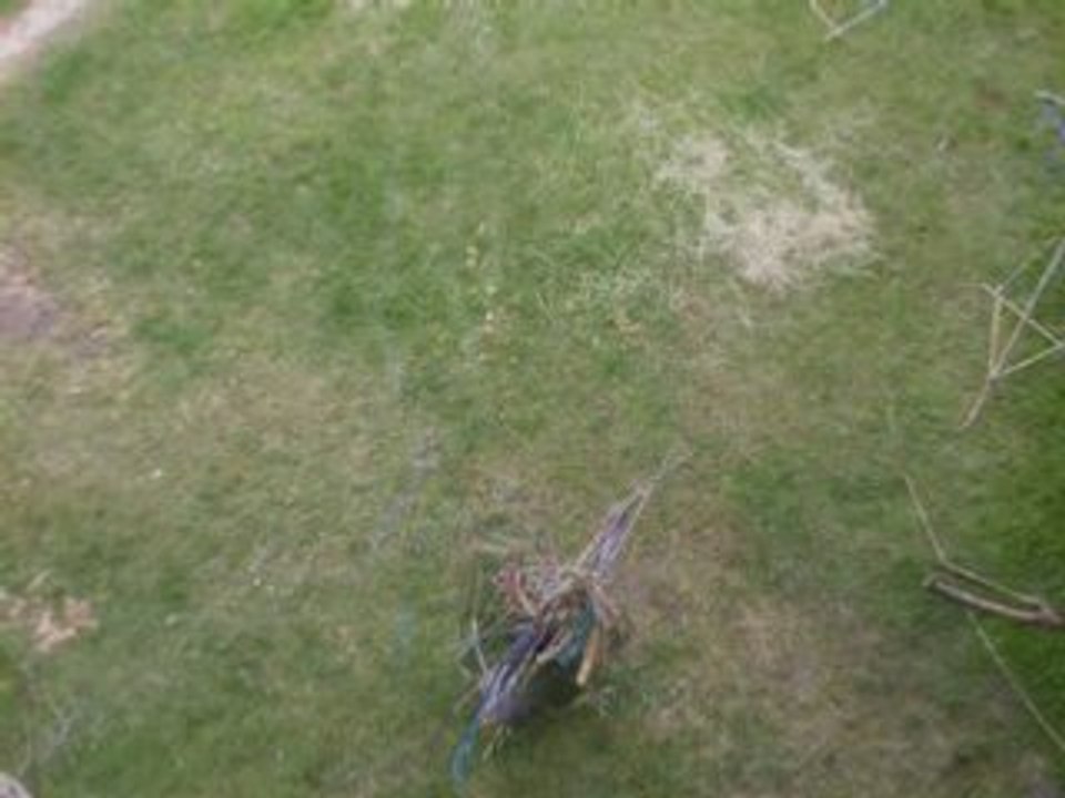 Nomadic Structures at Raramuri Art Festival 2008