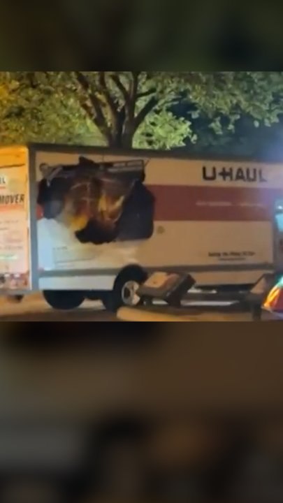 백악관 트럭 충돌 운전자는 10대 나치 신봉자