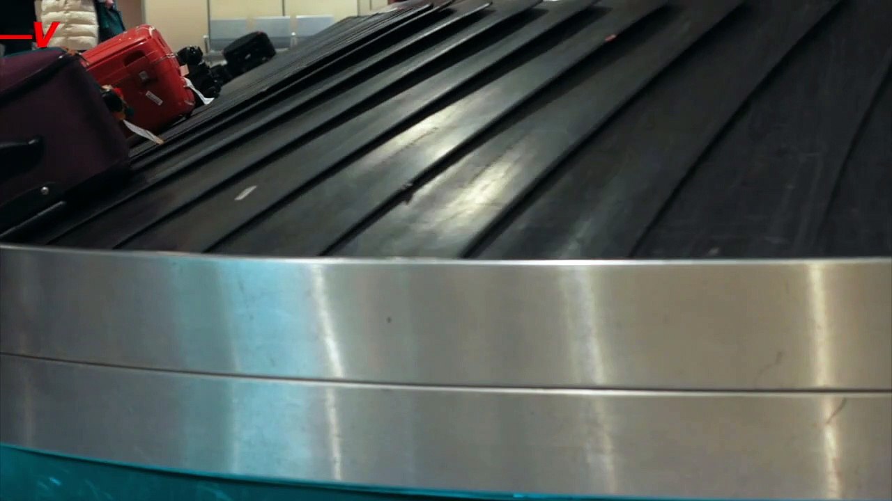 Americans Reduce Travel Spending but Increase Recreation Expenses