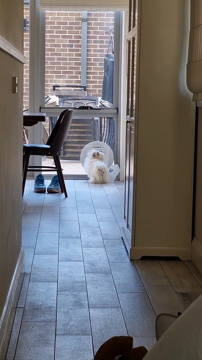 Persistence Is the Key