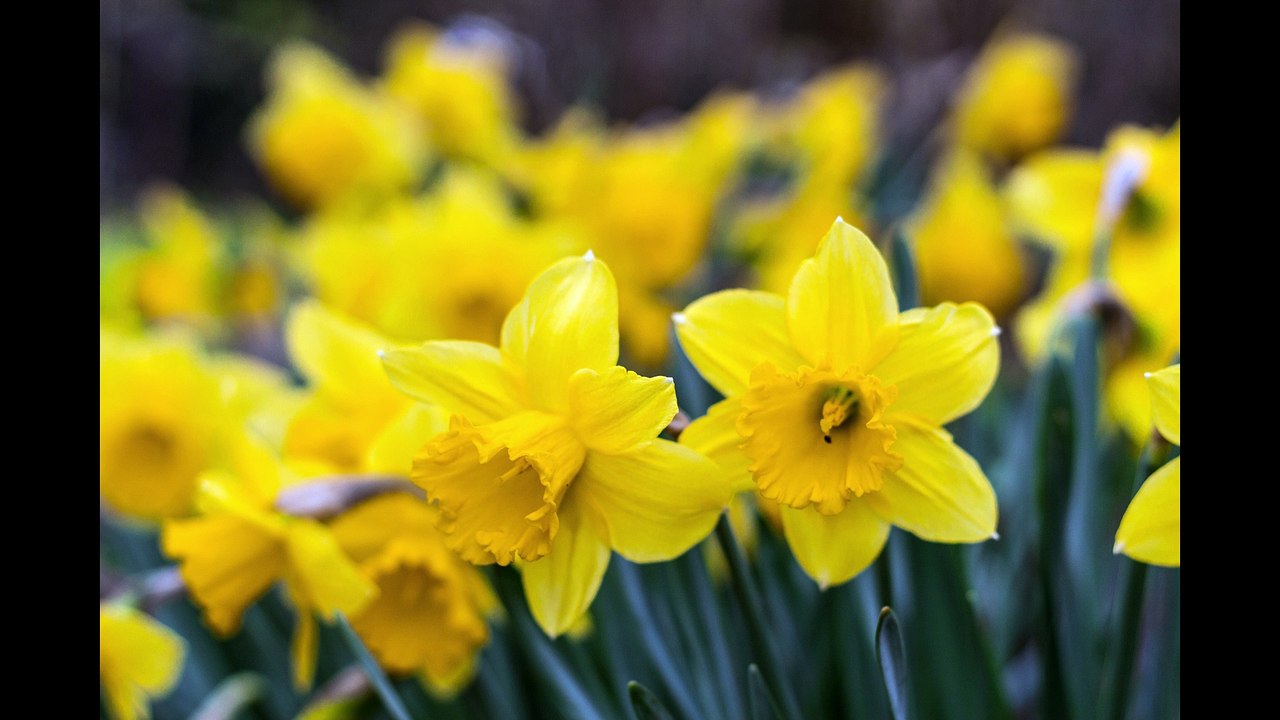 22 Years Later Above Eraser Hair