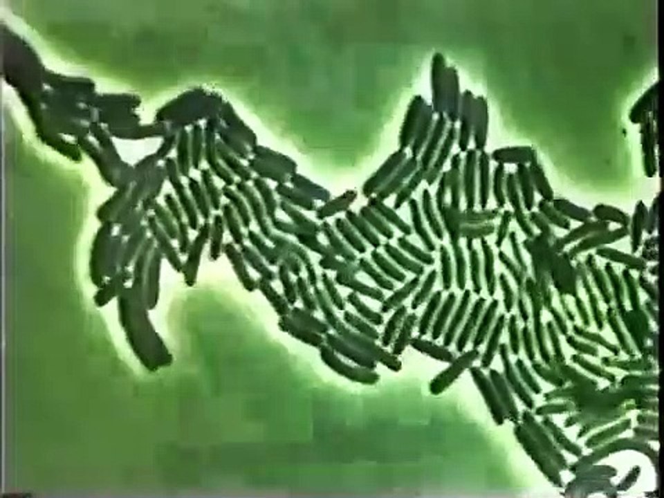 Konstruktor krasnogo tsveta | movie | 1993 | Official Trailer