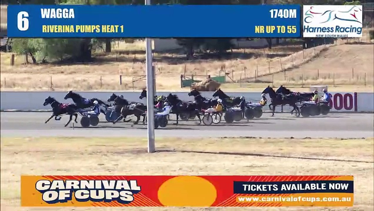 More Gooda provides Rodney Coelli with a double