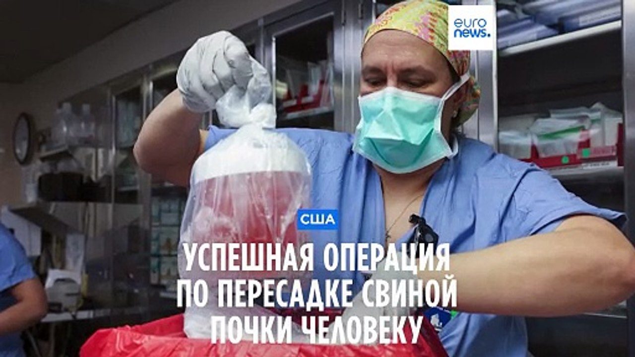 В США проведена первая успешная операция по пересадке свиной почки человеку