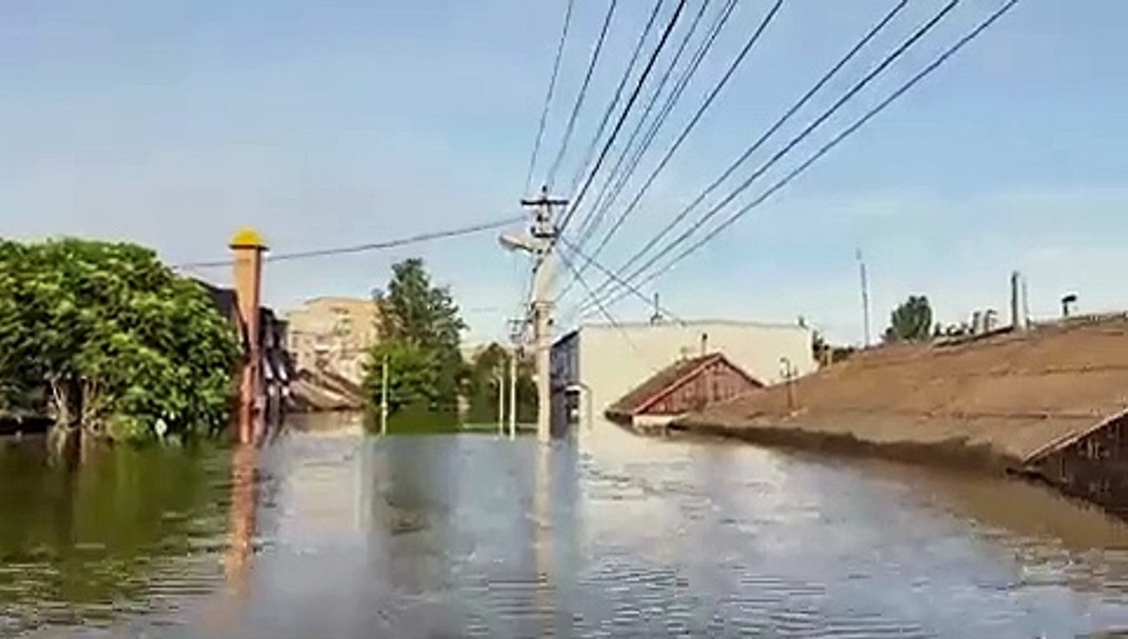 saxofonista ucrânia