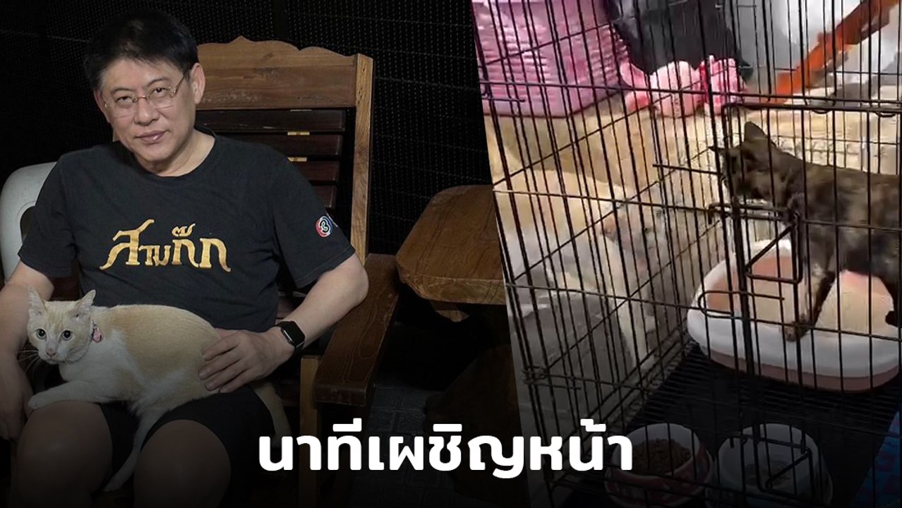 สรยุทธ เผยคลิปนาทีน้องแมว 2 ตัว จอห์น เผชิญหน้า เลอา ขู่กันดังลั่น