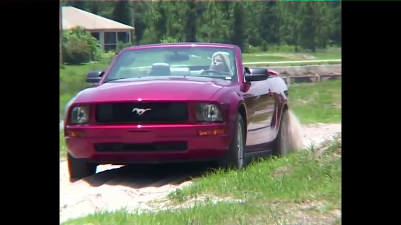 in forest quicksand stuck in quicksand mud new video