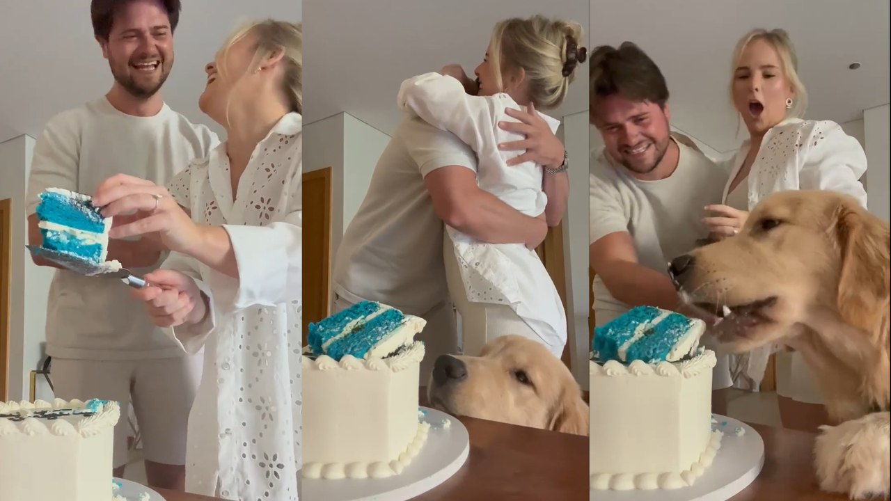 CHEEKY Dog Wants a Piece of GENDER REVEAL CAKE!
