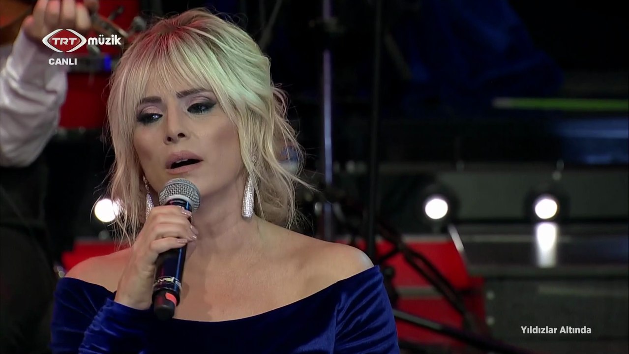 Ayşen Birgör / Yeşil ördek gibi daldım göllere